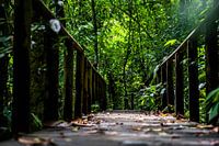 Costa Rica, Holzbrücke