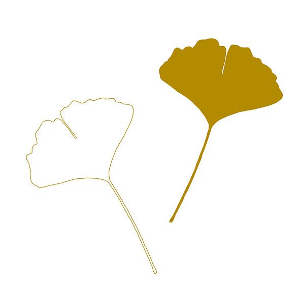 Leaf of Ginkgo Biloba or Temple Tree, Japandi by Caroline Drijber