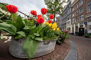 Flower Power
