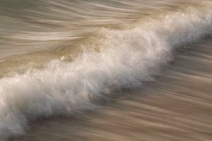 Une vague entrante