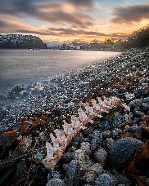 Winter landscape on Godøy, Ålesund, Norway by qtx