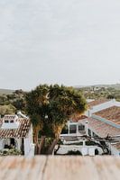 Portugal | Dachterrasse | Palmen | Sommer