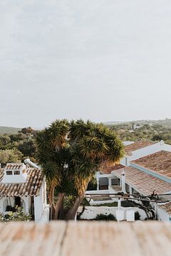 Portugal | uitzicht vanaf het dakterras | palbomen | zomer van Iris van Tricht