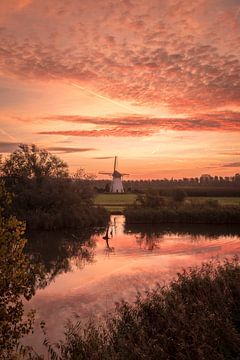 Un beau lever de soleil au moulin sur Moetwil en van Dijk - Fotografie