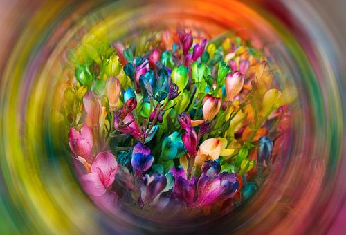 A wild dream of flowers