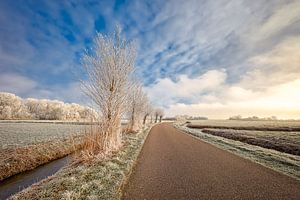 Hollands winterlandschap van eric van der eijk