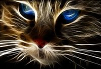 Blue eye