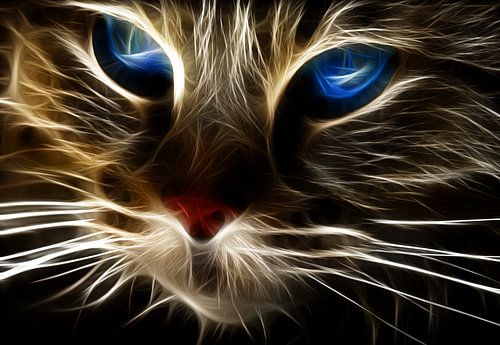 Blaues Auge