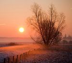 Morning sun van Michiel Stam thumbnail