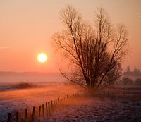 Morning sun