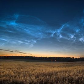 Noctilucent clouds van Marc Hollenberg