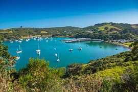 Schöne Bucht auf Waiheke Island, Neuseeland von Troy Wegman
