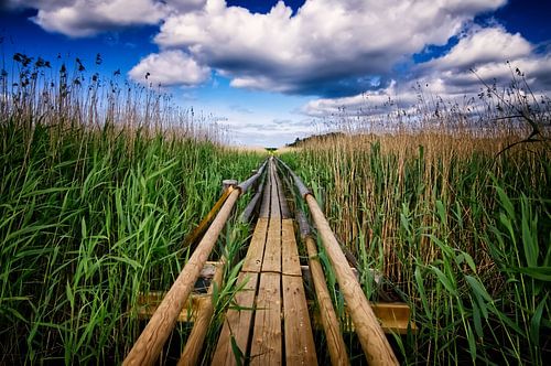 Groene Pad IV - De weg is het doel