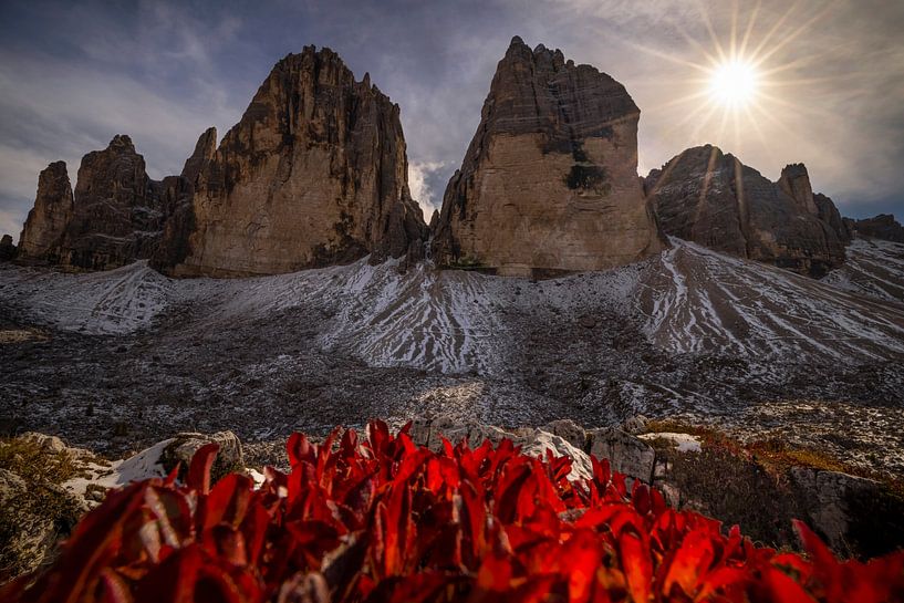 Tre Cime di Lavaredo - Trentino-Südtirol - Italië van Felina Photography