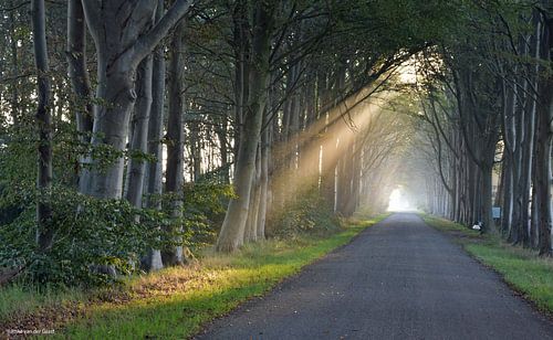 Eerste zonnestralen in de vroege ochtend