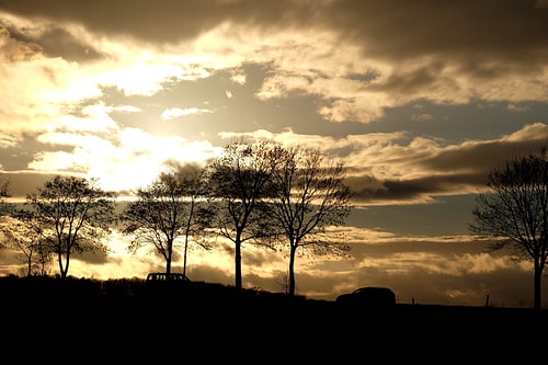 Light and shadow