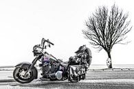 Harley Davidson motor en een boom op een landweg in zwart wit van Harrie Muis thumbnail