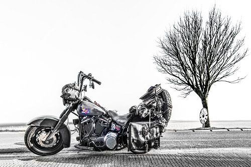 Harley Davidson motor en een boom op een landweg in zwart wit