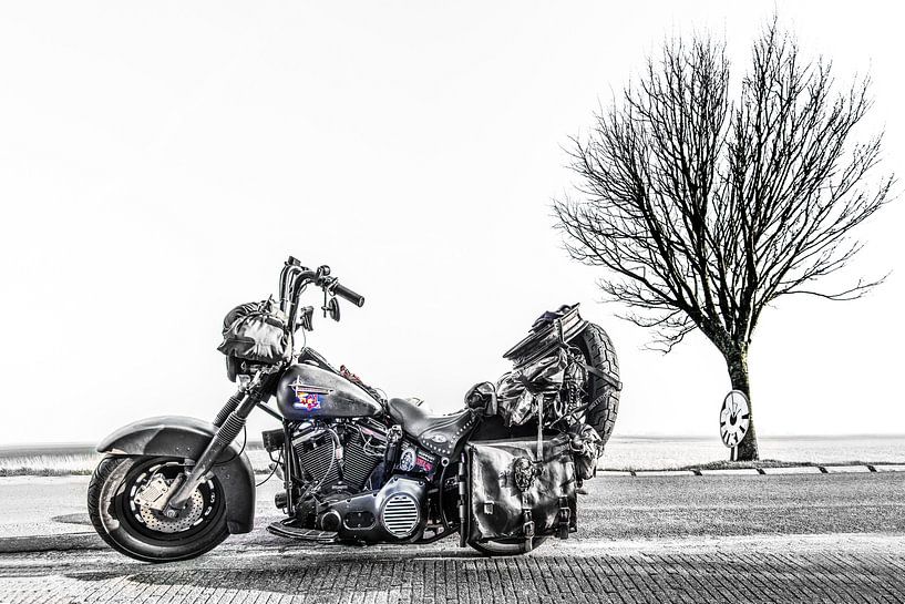 Harley Davidson motor en een boom op een landweg in zwart wit von Harrie Muis