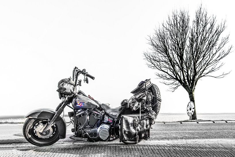 Harley Davidson motor en een boom op een landweg in zwart wit van Harrie Muis