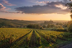 Die Abtei Badia a Passignano und die Chianti-Weinberge bei Sonnenuntergang