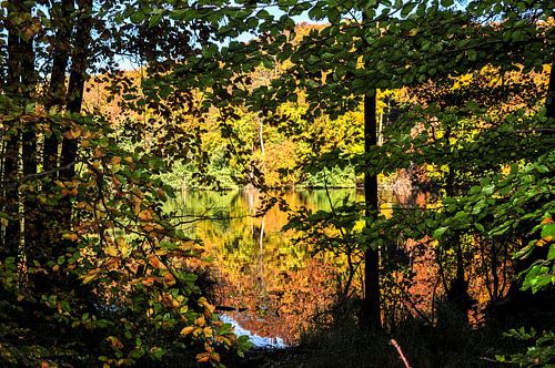 Le lac Herta dans le parc national de Jasmund