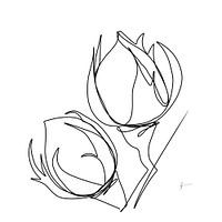 Rose buttons