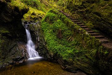 Het Benmore Estate, Puck's Glen van Edwin Kooren