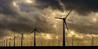 Wind park with rows of wind turbines during sunset