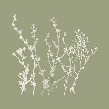Meadow Botanical art in Sage Green and Beige no. 8 by Dina Dankers