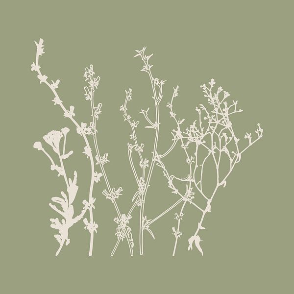 Meadow Botanical art in Sage Green and Beige no. 8 by Dina Dankers