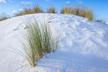 Mooi winters duinlandschap met sneeuw Schoorl van René Groeneveld
