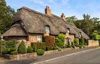 Englisches Cottage mit Reetdach, in Cambridgeshire, England von Mieneke Andeweg-van Rijn Miniaturansicht