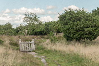 Houten hekje op het heideveld