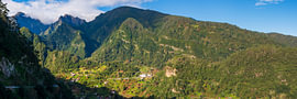 In the verdant embrace of the Madeira mountains