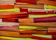 colour the world by Geertrui Desmet thumbnail