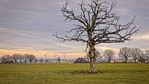 Windmühlen bei Bocholtz