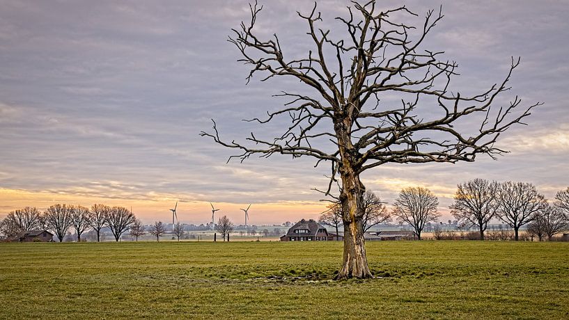 Windmolens bij Bocholtz van Rob Boon