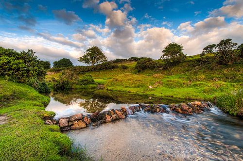 Beekje in een groen landschap