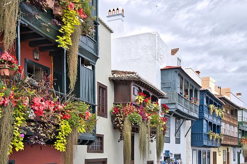 A historic display of flowers – The balconies of Santa Cruz