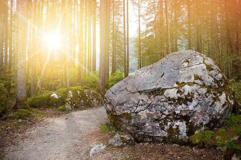 Wanderweg von Bo Valentino