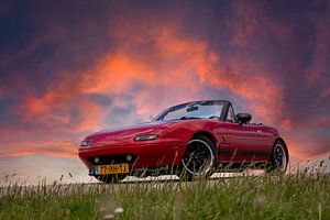 Mazda MX-5 in the evening sun by Maurice van de Waarsenburg