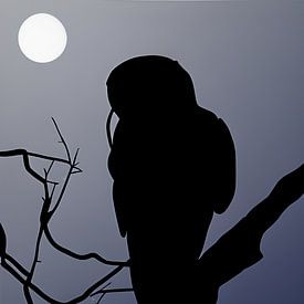 Uil kijkt om zwarte contour in maanlicht van Harmanna Digital Art
