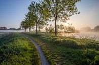 Sonnenaufgang während einer Taufahrt entlang der Leie in Wevelgem - Westflandern von Fotografie Krist / Top Foto Vlaanderen Miniaturansicht