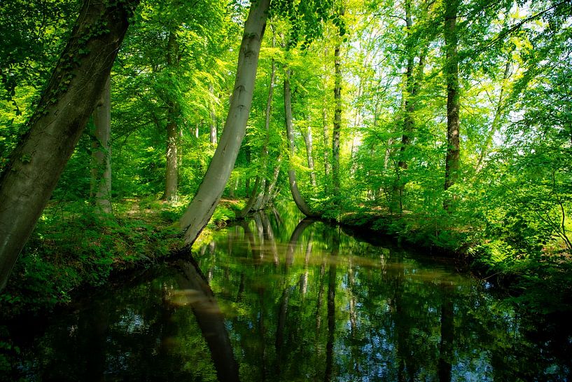 reflet de l'eau par Martijn Bruins