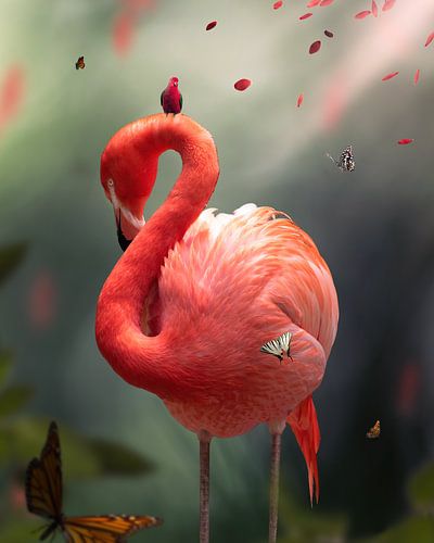 Flamingo mit Schmetterlingen.