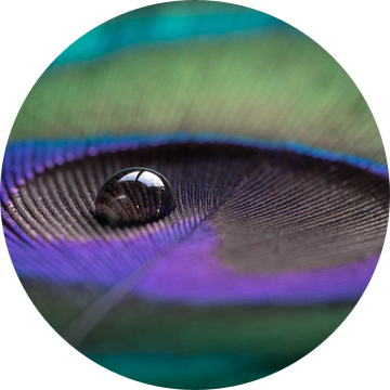 Pauwenveer met magische druppel