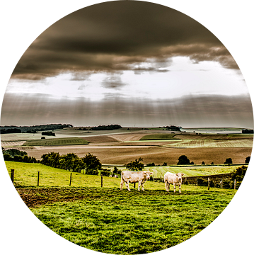 Landschap Normandië van Harrie Muis