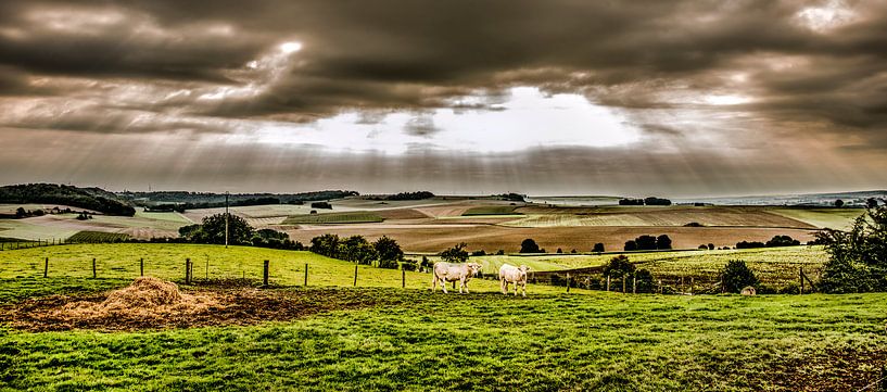 Landschap Normandië van Harrie Muis