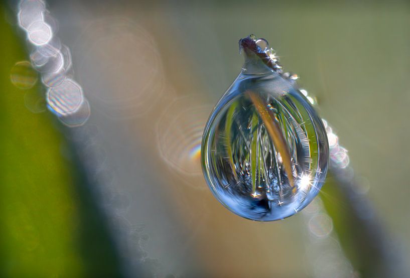 Dewdrop by Elbert-Jan Achterberg